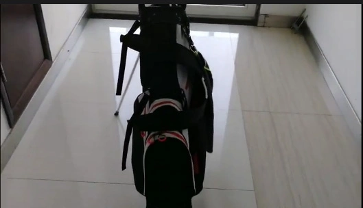 Golf 8 Divider Stand Bag-Bolsa de golf profesional