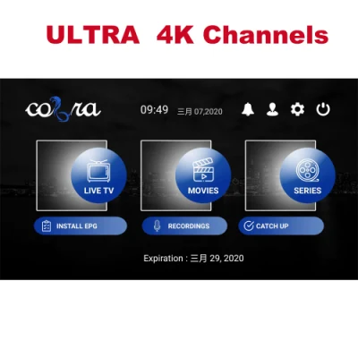 Panel de revendedor Hi-Ott IPTV Cobra para holandés, Alemania, EE. UU., Canadá, Reino Unido, Italia, árabe, India, Pakistán, turco, 18+ M3u, lista para decodificador Android